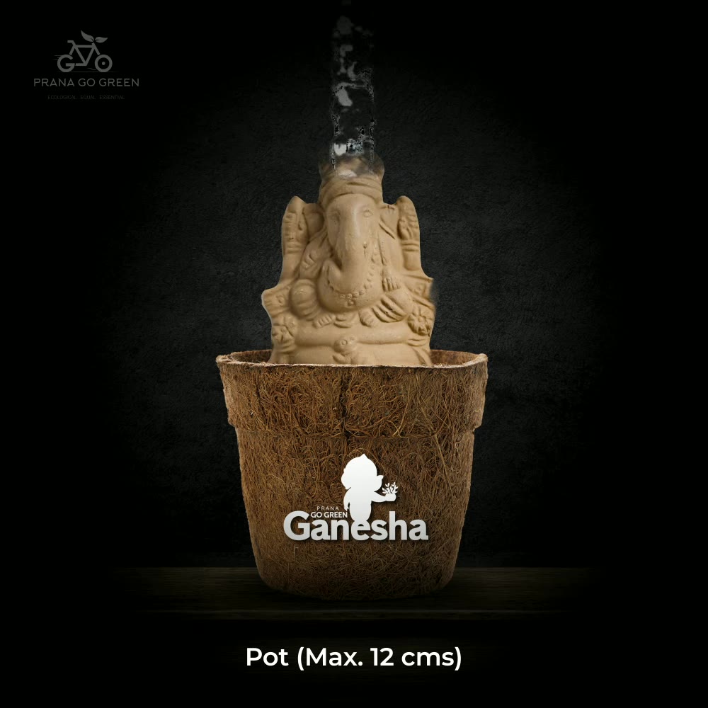 Eco-conscious Pranago Ganesha idol in a natural planter